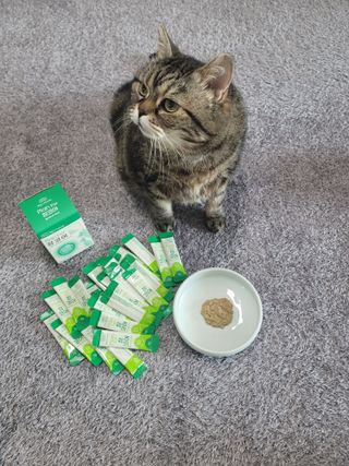 나초단맘님이 올린 리뷰 사진 1