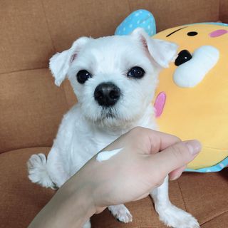 김나연님이 올린 리뷰 사진 3