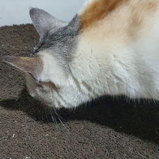 스더링님이 올린 리뷰 사진 2