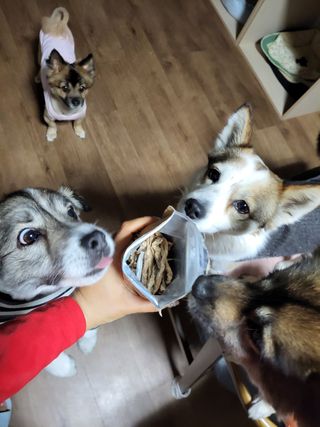 오둥이맘님이 올린 리뷰 사진 2