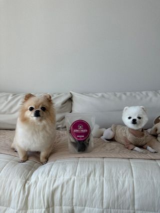갓수진님이 올린 리뷰 사진 2