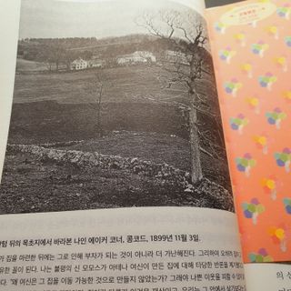 채채님이 올린 리뷰 사진 4