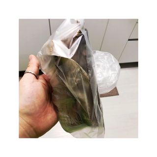 [오늘바스켓] 용대리 손질하늘태 130g — 4점을 준 리뷰어가 2021년 5월 올린 사용 사진