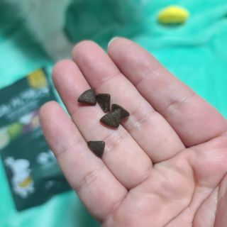 [푸디웜] 라포그  리얼인섹트 웨이트밸런스 저알러지 강아지 사료  1.2KG — 5점을 준 리뷰어가 2022년 7월 올린 사용 사진