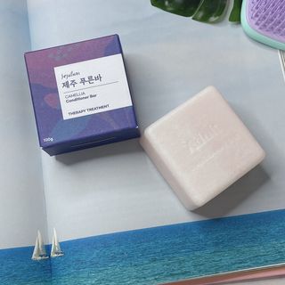 제주인디 제주 푸른바 카멜리아 컨디셔너 — 4점을 준 리뷰어가 2022년 1월 올린 사용 사진