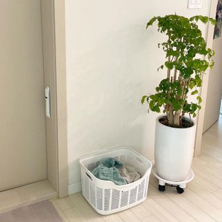 숑이님이 올린 리뷰 사진 2