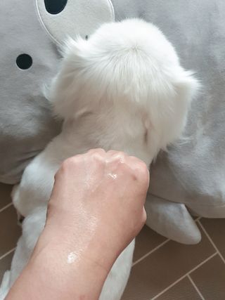 체르엠 스템앤셀 비타민 브라이트닝 에센스 30ml 1개 — 5점을 준 리뷰어가 2021년 9월 올린 사용 사진
