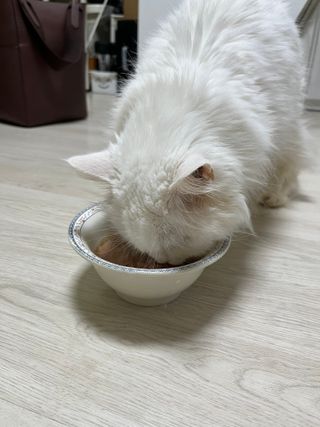 언제나님이 올린 리뷰 사진 4