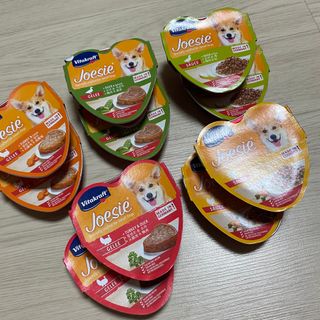 비타크래프트 조에시 하트캔 85g 강아지 습식캔 10캔 — 5점을 준 리뷰어가 2021년 10월 올린 사용 사진