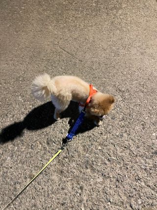 으콩님이 올린 리뷰 사진 1