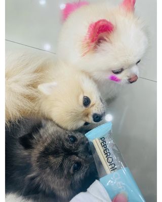 순이츠님이 올린 리뷰 사진 3