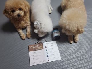 모모맘님이 올린 리뷰 사진 2