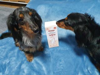 My Pet Care 모발과 모질 피부건강에 개좋아 — 3.5점을 준 리뷰어가 2021년 2월 올린 사용 사진