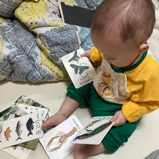 바바북스 바바 클래식 낱말카드 — 5점을 준 리뷰어가 2024년 1월 올린 사용 사진