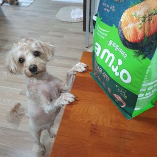 기린짱맘님이 올린 리뷰 사진 1