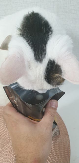 SeulonPark님이 올린 리뷰 사진 2