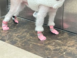 sunny님이 올린 리뷰 사진 1