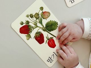 바바북스 바바 클래식 낱말카드 — 5점을 준 리뷰어가 2024년 1월 올린 사용 사진