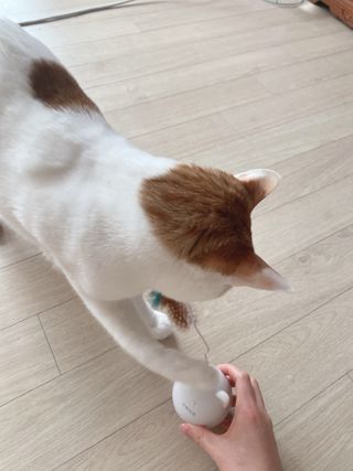 yooon❤️님이 올린 리뷰 사진 3