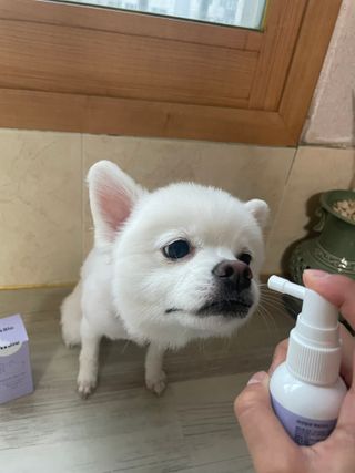콩이예요님이 올린 리뷰 사진 2