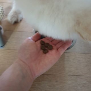 KyungEunMin님이 올린 리뷰 사진 3