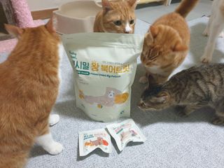 [펫시밀] 원물그대로 영양듬뿍 동결건조 왕북어트릿300g,왕치킨트릿400g,열빙어트릿300g 대용량 간식 — 5점을 준 리뷰어가 2023년 5월 올린 사용 사진