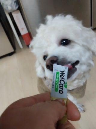 김팀장님이 올린 리뷰 사진 1