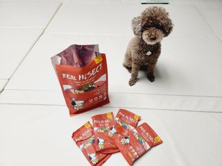 [푸디웜] 라포그  리얼인섹트 관절 저알러지 강아지 사료  1.2KG — 5점을 준 리뷰어가 2022년 8월 올린 사용 사진