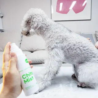 whol 키토미스트 150ml + 실리콘바디브러쉬  강아지 고양이 항균항바이러스, 강력탈취 피부 보습,무향 — 5점을 준 리뷰어가 2022년 9월 올린 사용 사진