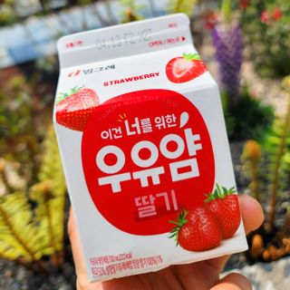 가루파랑님이 올린 리뷰 사진 4