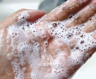 조향사 바디 앤 핸드 워시 화이트 포레스트 — 5점을 준 리뷰어가 2022년 6월 올린 사용 사진