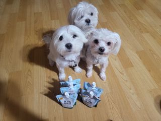 공팔리터님이 올린 리뷰 사진 1