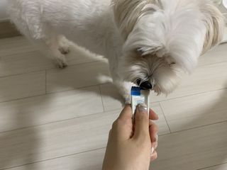 수성님이 올린 리뷰 사진 2
