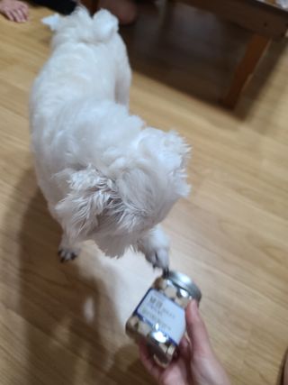 삐랭이님이 올린 리뷰 사진 2