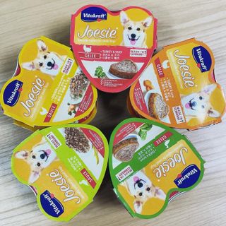비타크래프트 조에시 하트캔 85g 강아지 습식캔 10캔 — 5점을 준 리뷰어가 2021년 7월 올린 사용 사진