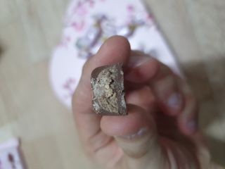 얄라리오님이 올린 리뷰 사진 4