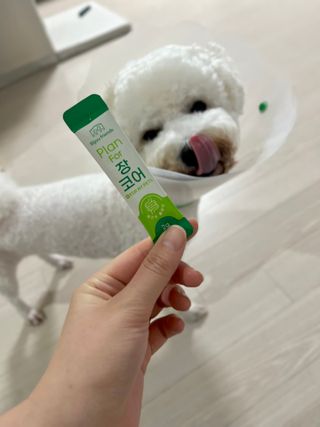 삐야기님이 올린 리뷰 사진 1