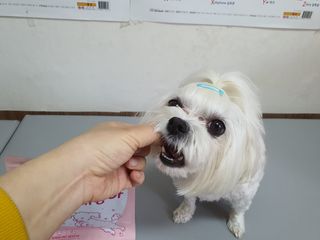 뽀블리님이 올린 리뷰 사진 2