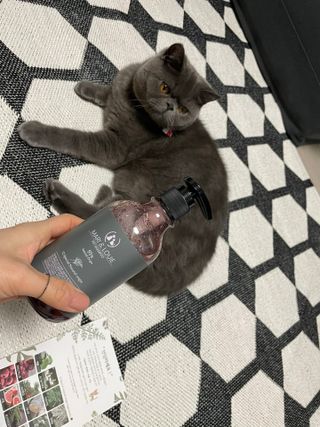 마리앤루이펫샴푸 [mari and louie pet shampoo] — 5점을 준 리뷰어가 2021년 5월 올린 사용 사진