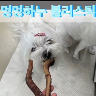 fively님이 올린 리뷰 사진 1
