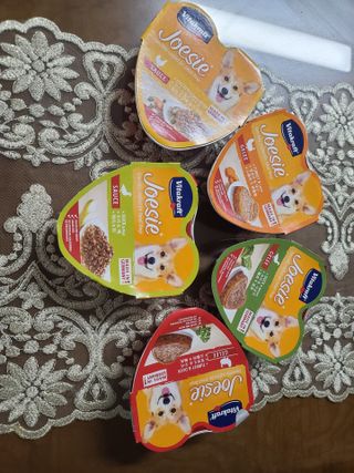 비타크래프트 조에시 하트캔 85g 강아지 습식캔 10캔 — 5점을 준 리뷰어가 2021년 7월 올린 사용 사진