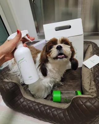 가루파랑님이 올린 리뷰 사진 2