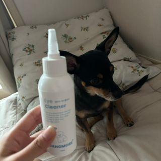 [댕모어 클리너 3종] 아이클리너 / 이어클리너 / 덴탈클리너 3종 세트 (120ml) — 4점을 준 리뷰어가 2023년 11월 올린 사용 사진