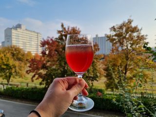 몽베스트 Montbest with Sparkling water Plain 20병 — 5점을 준 리뷰어가 2021년 11월 올린 사용 사진