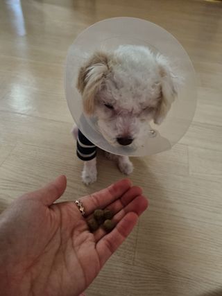 하늘이님이 올린 리뷰 사진 3