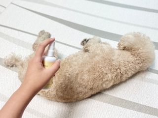 테티스님이 올린 리뷰 사진 4