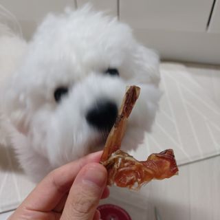 코롱님이 올린 리뷰 사진 2