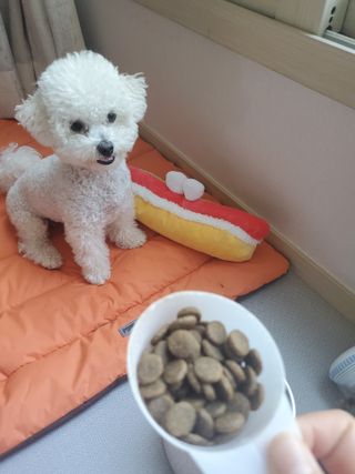 맨날배고파님이 올린 리뷰 사진 3