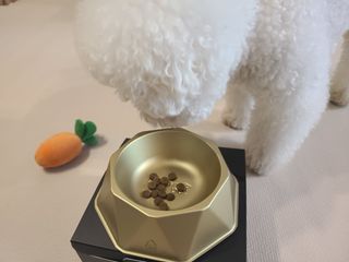 바다님이 올린 리뷰 사진 3