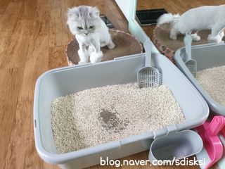 sdisksi님이 올린 리뷰 사진 3